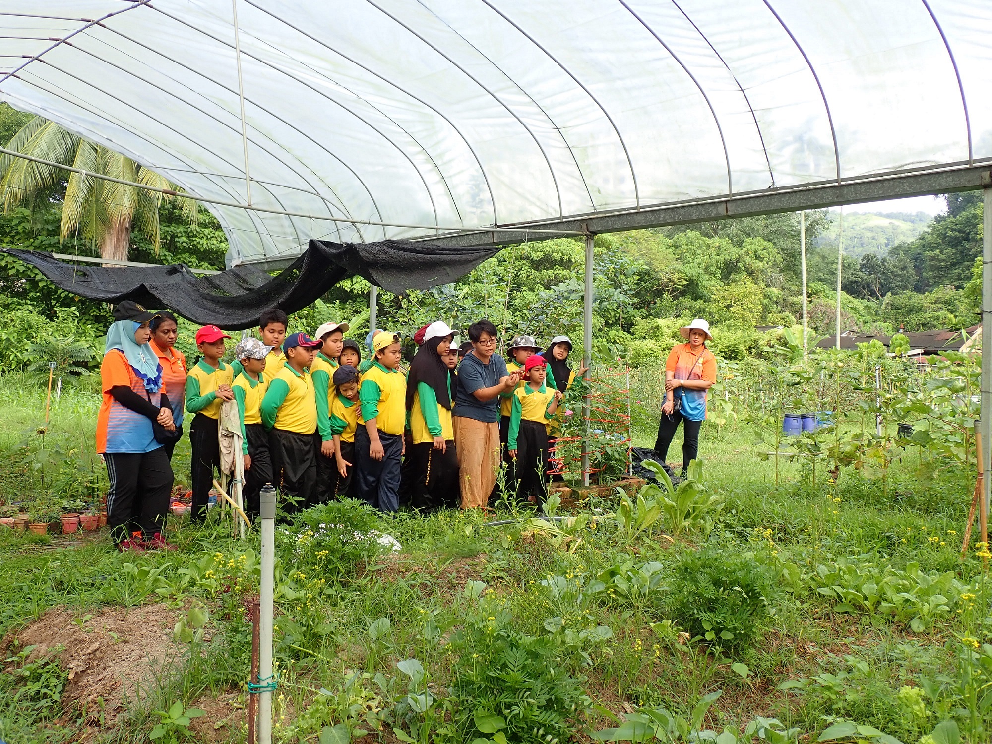 E&O Group teaches kids farming - Penang Hyperlocal